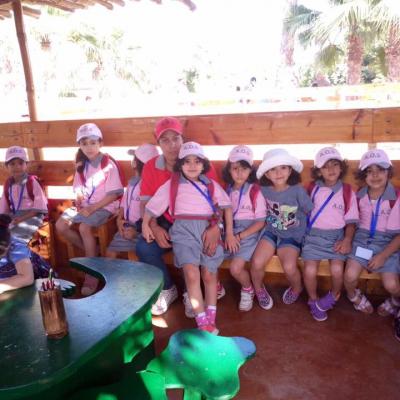 19702323 273530489720382 1165332546989445100 N