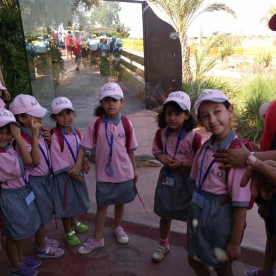 19731943 273531743053590 2353655576823486351 N